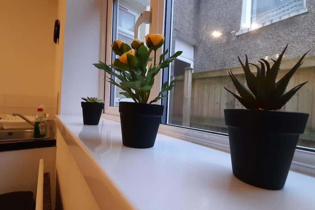 Spacious 4 Bedroom, Free Netflix, Central Location Cardiff Dış mekan fotoğraf