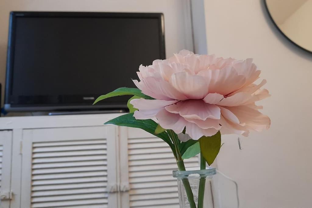 Spacious 4 Bedroom, Free Netflix, Central Location Cardiff Dış mekan fotoğraf
